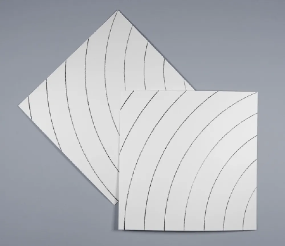 Сериграфия Morellet - Ondes parasites 2