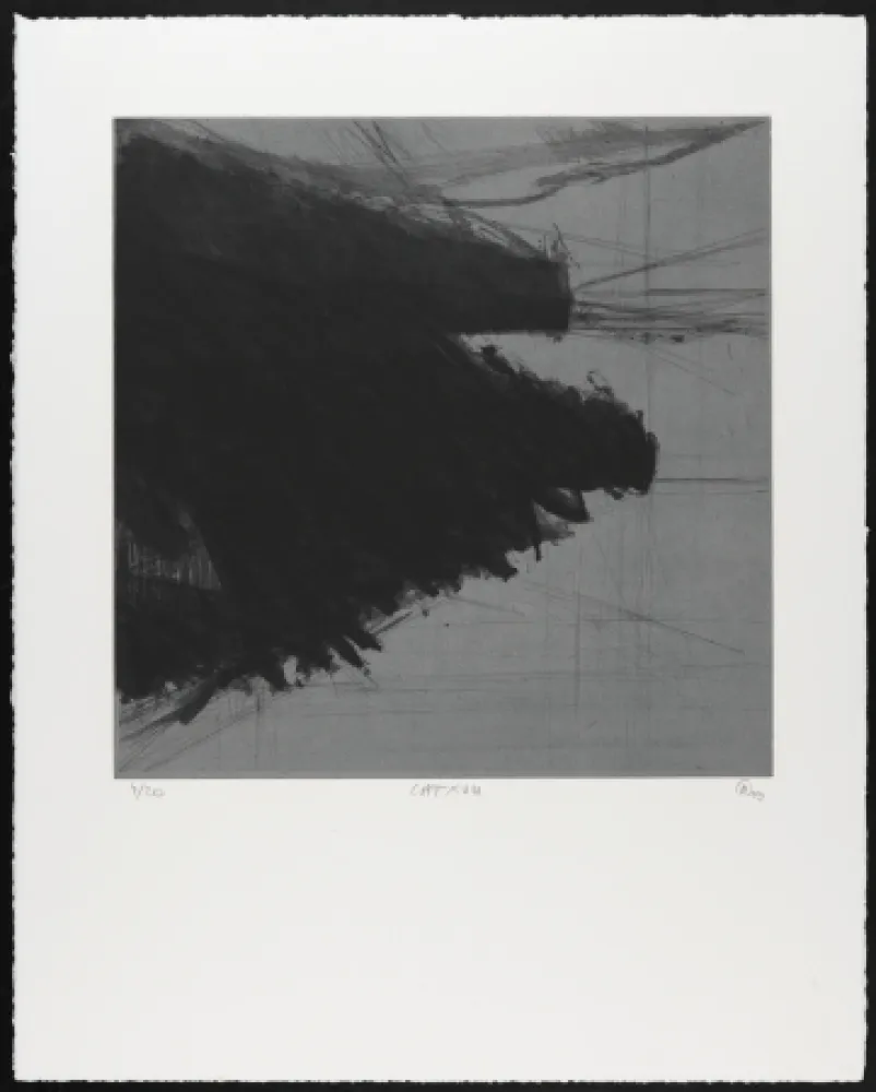 Гравюра Moriette - CAT XVIII