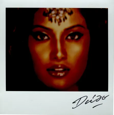 Многоэкземплярное Произведение Moriyama - Bye-Bye Polaroid 1