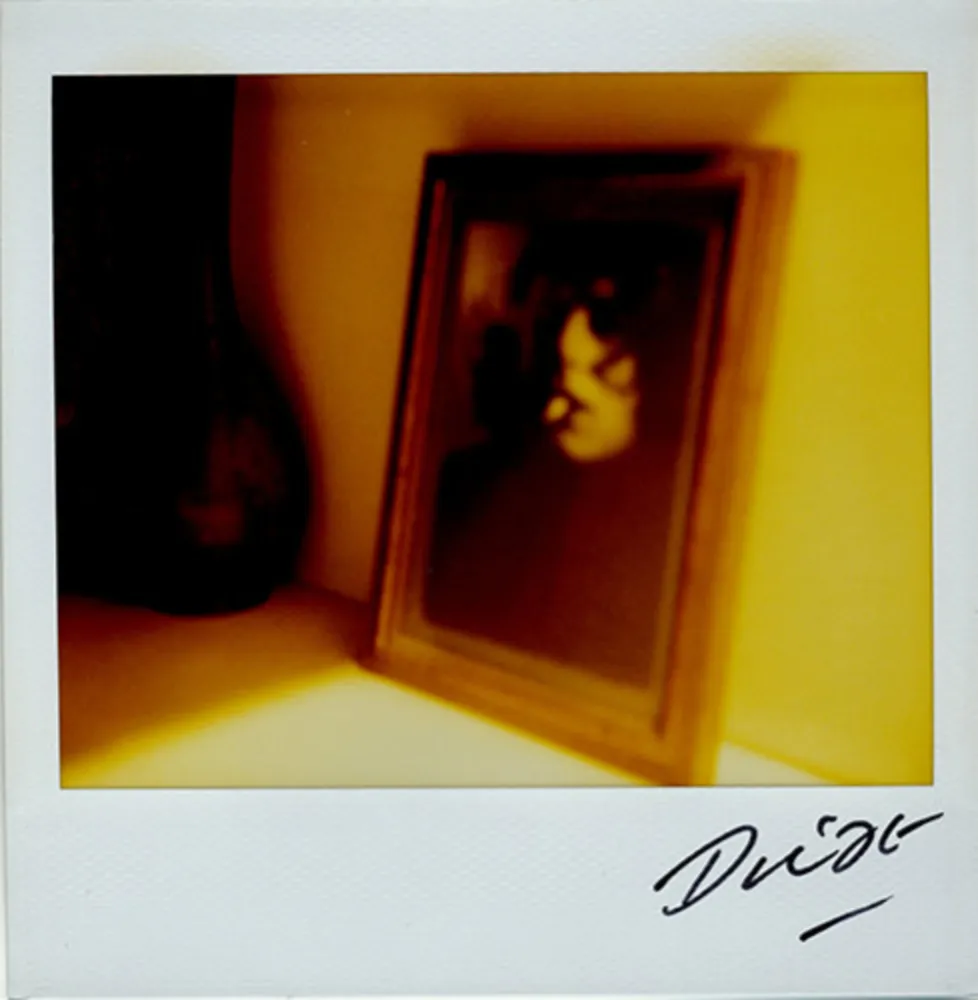 Многоэкземплярное Произведение Moriyama - Bye-Bye Polaroid 10