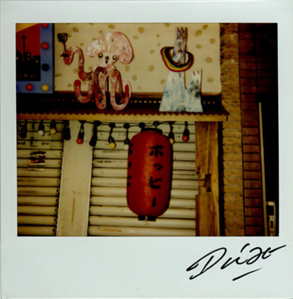 Многоэкземплярное Произведение Moriyama - Bye-Bye Polaroid 13