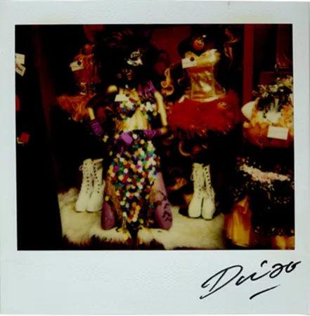Многоэкземплярное Произведение Moriyama - Bye-Bye Polaroid 15