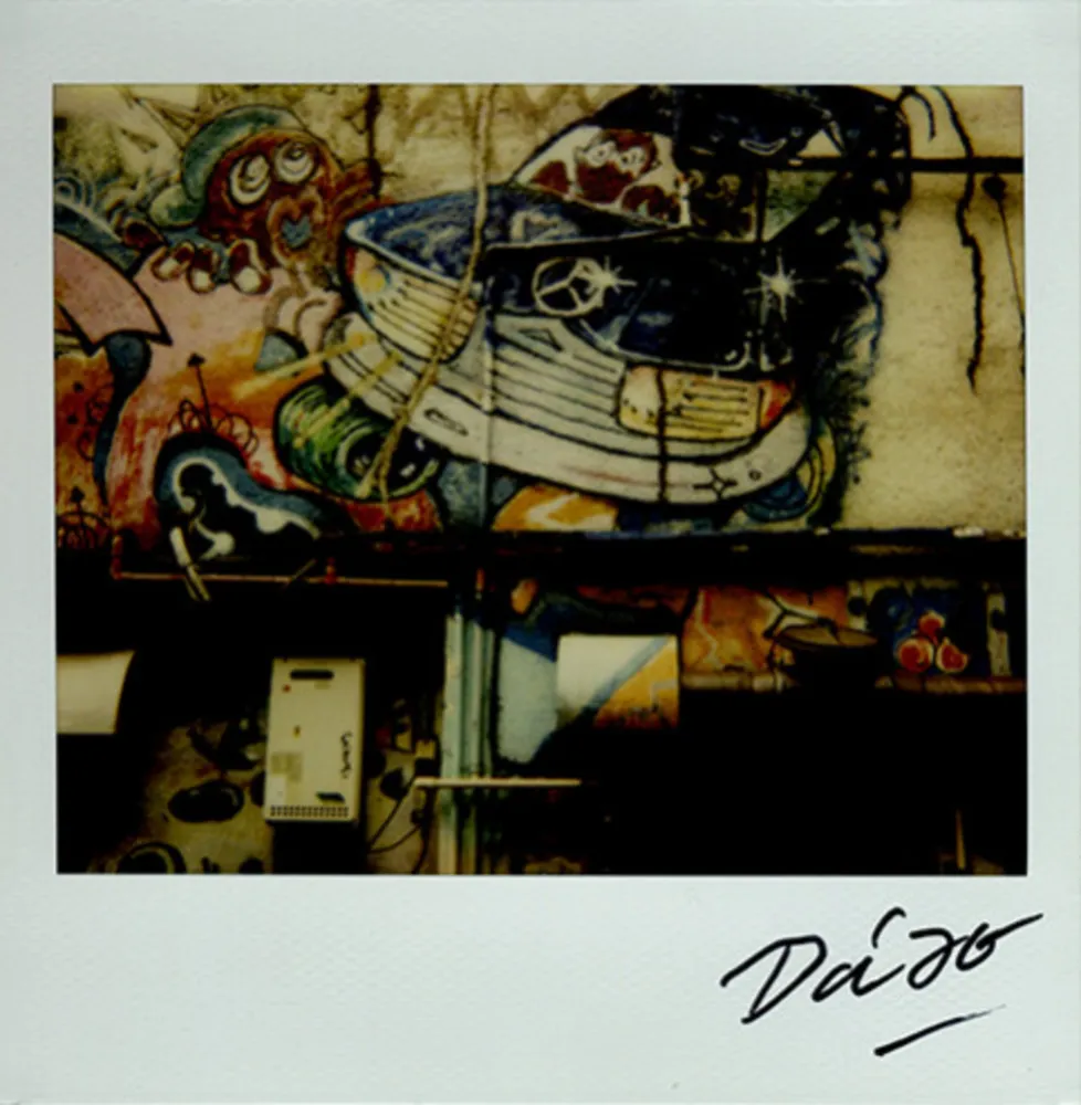 Многоэкземплярное Произведение Moriyama - Bye-Bye Polaroid 17
