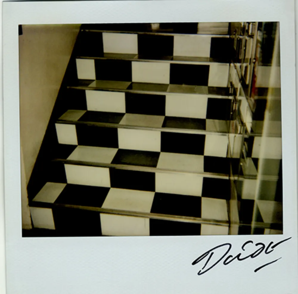 Многоэкземплярное Произведение Moriyama - Bye-Bye Polaroid 6