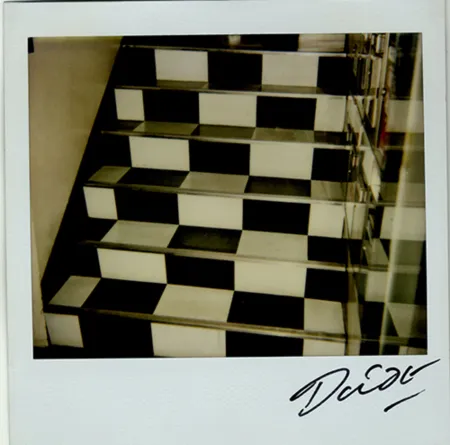 Многоэкземплярное Произведение Moriyama - Bye-Bye Polaroid 6