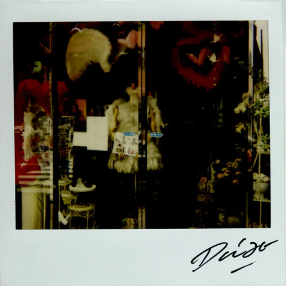 Многоэкземплярное Произведение Moriyama - Bye-Bye Polaroid 9