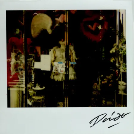 Многоэкземплярное Произведение Moriyama - Bye-Bye Polaroid 9