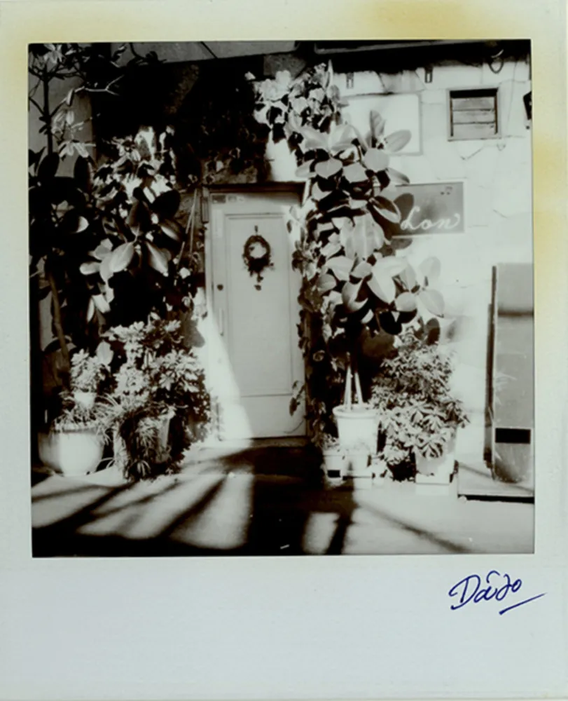 Многоэкземплярное Произведение Moriyama - Passage 3