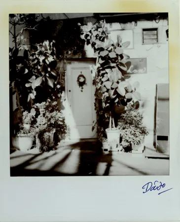 Многоэкземплярное Произведение Moriyama - Passage 3