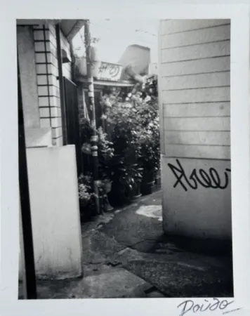Многоэкземплярное Произведение Moriyama - Passage 4