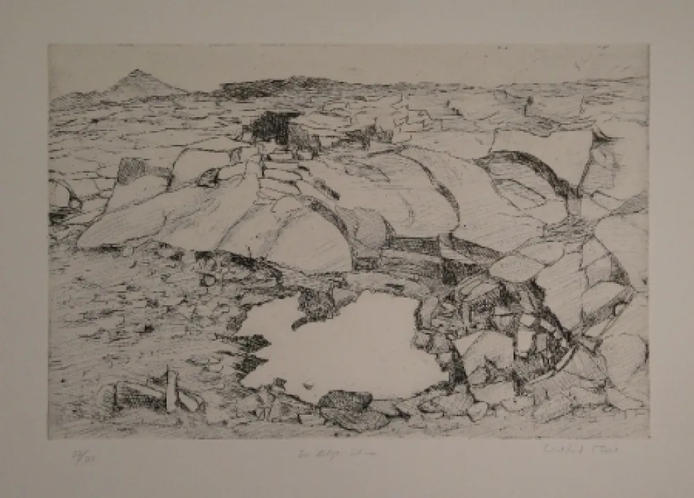 Гравюра Moser - Der letzte Schnee