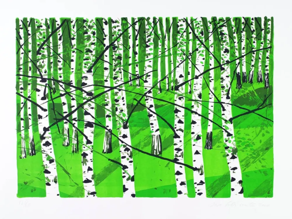 Литография Muller - Birkenwa?ldchen