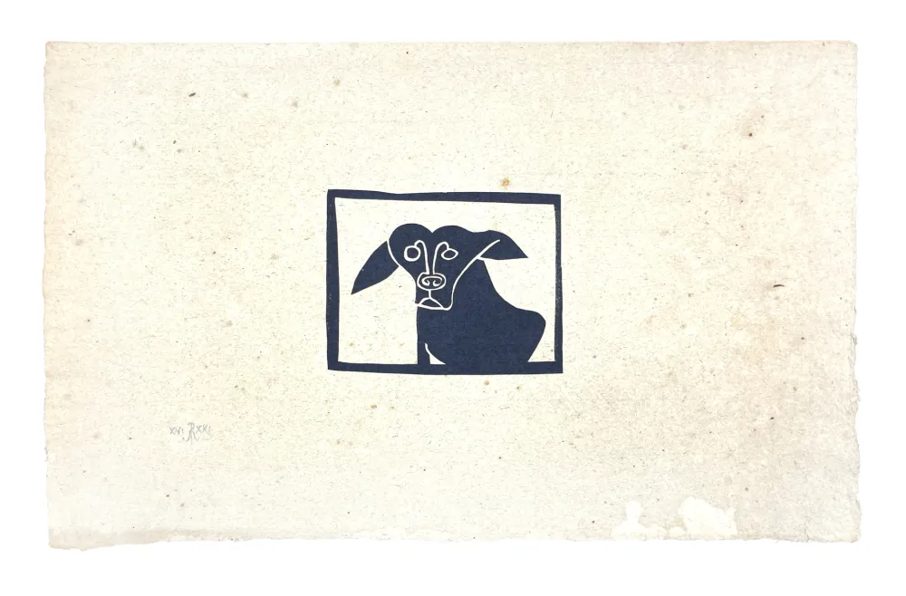 Нет Никаких Технических Müller - SKILIA II