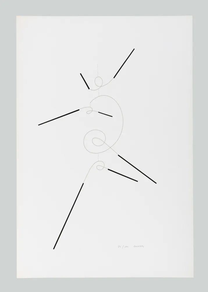 Сериграфия Munari - Macchina inutile