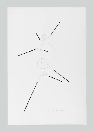 Сериграфия Munari - Macchina inutile