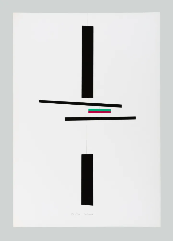 Сериграфия Munari - Macchina inutile