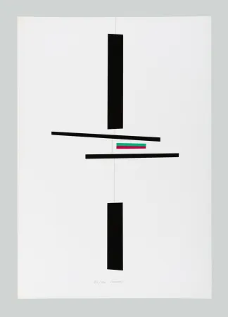 Сериграфия Munari - Macchina inutile