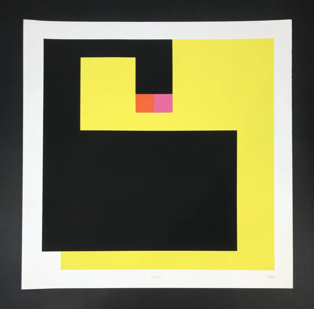 Сериграфия Munari - Negativo positivo