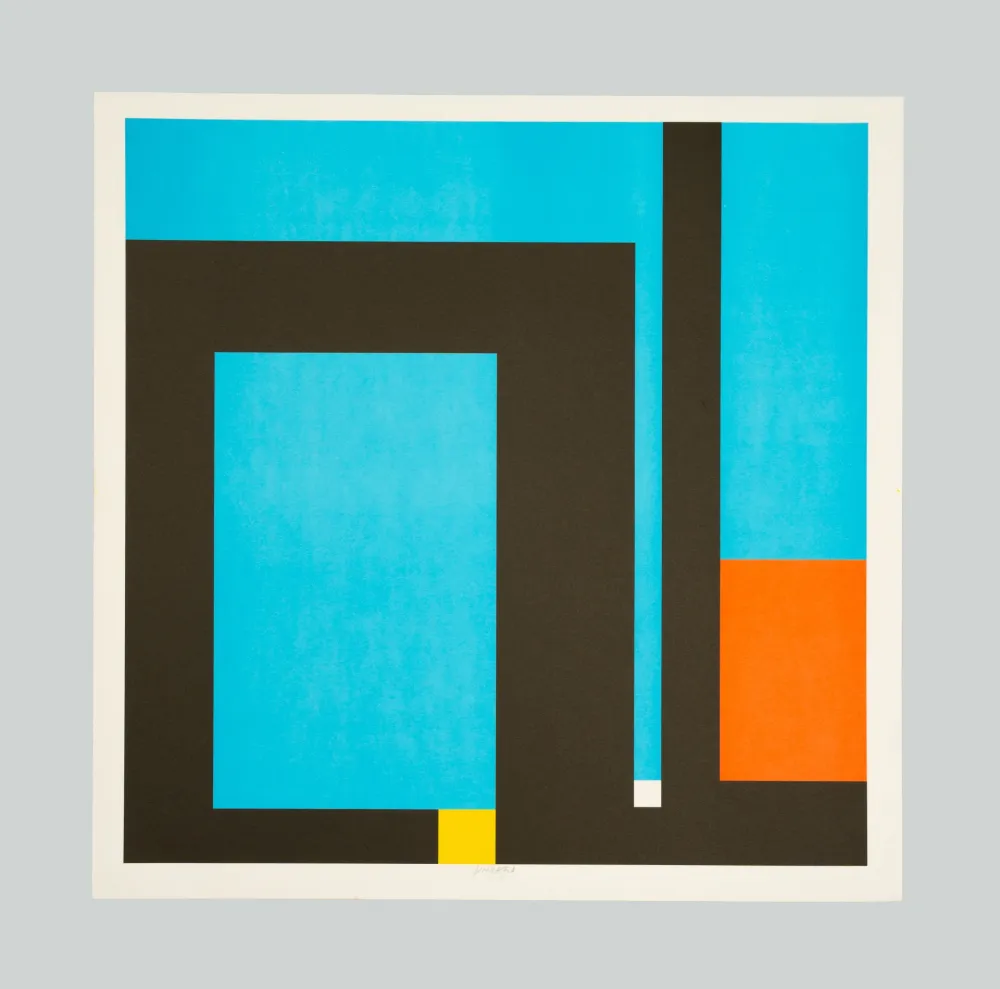 Литография Munari - Positivo negativo