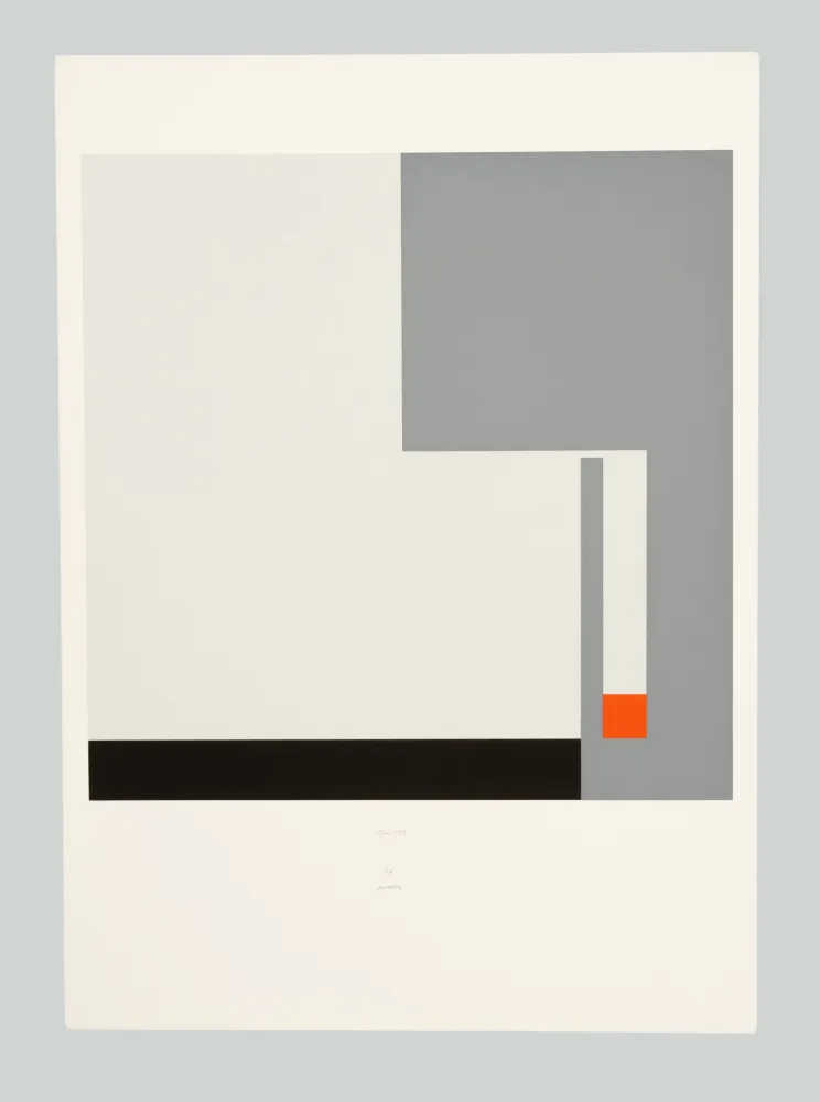 Сериграфия Munari - Positivo negativo