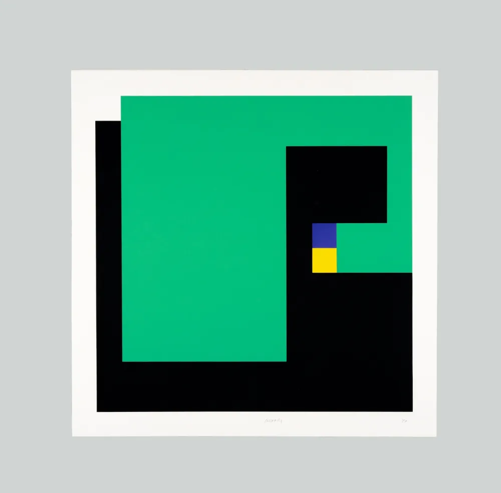 Сериграфия Munari - Positivo negativo