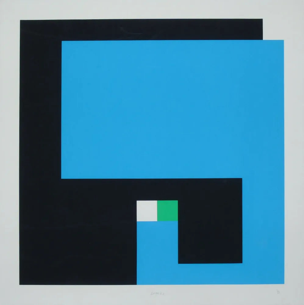 Сериграфия Munari - Positivo Negativo