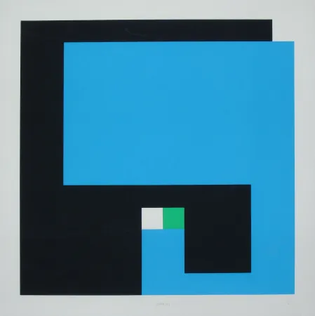 Сериграфия Munari - Positivo Negativo