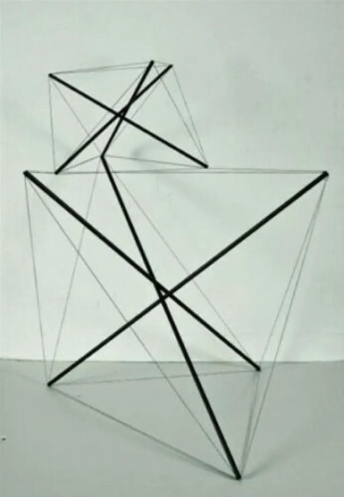 Многоэкземплярное Произведение Munari - Tensostruttura