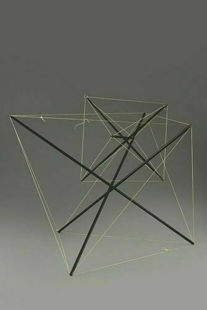 Многоэкземплярное Произведение Munari - Tensostruttura