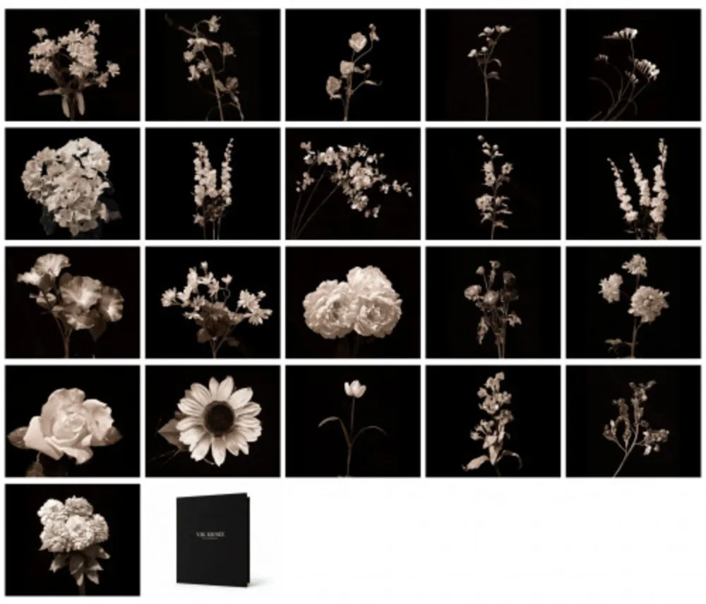 Фотографии Muniz - Flora Industrialis B/N