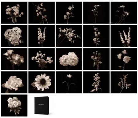 Фотографии Muniz - Flora Industrialis B/N