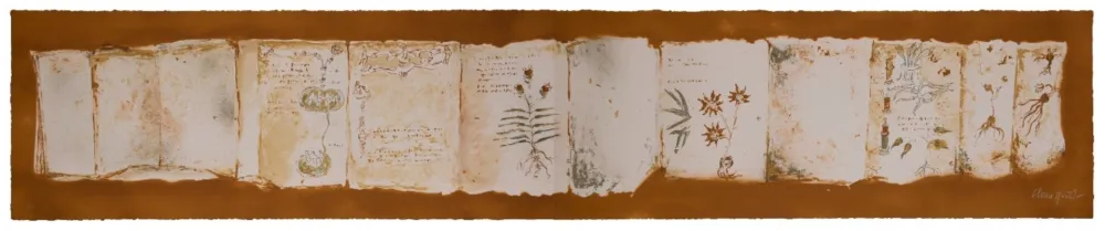 Многоэкземплярное Произведение Muñoz - Manuscrit II