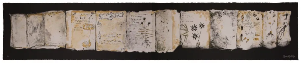 Многоэкземплярное Произведение Muñoz - Manuscrit III