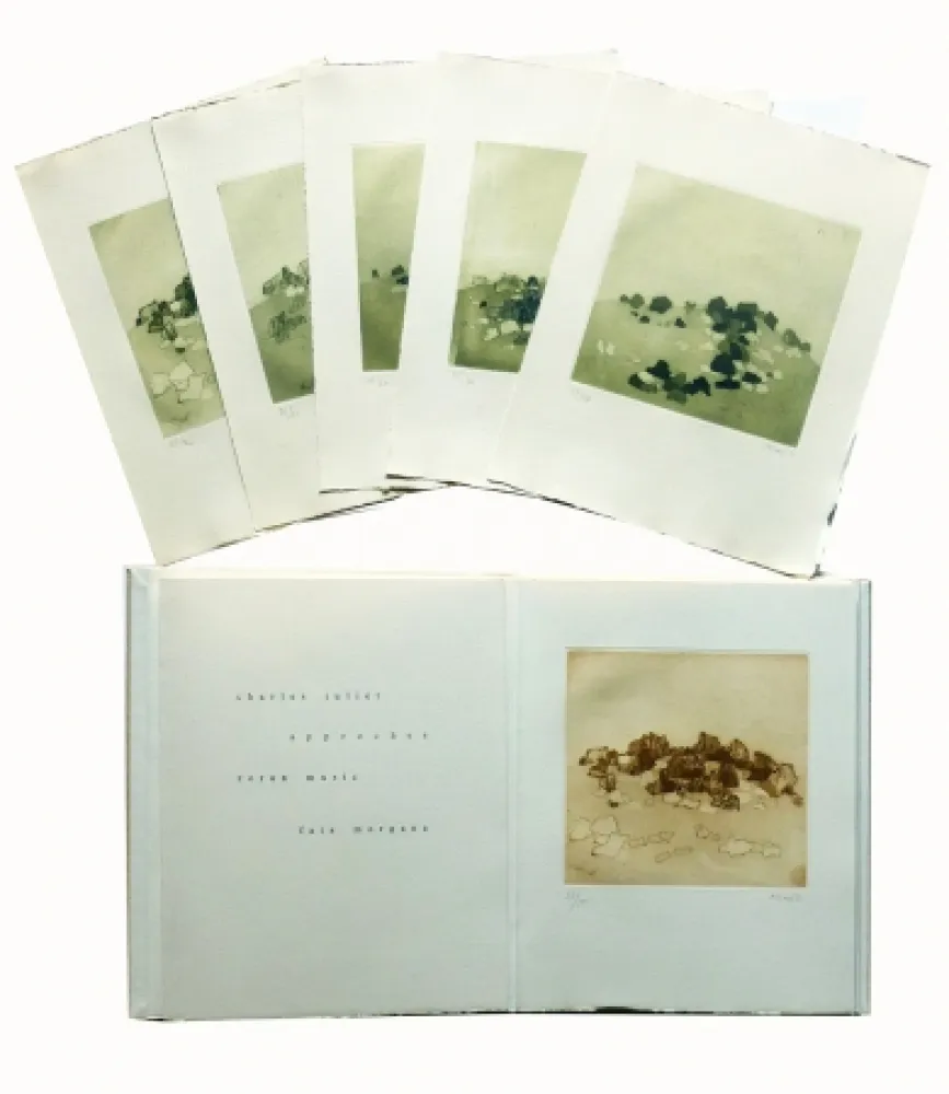 Иллюстрированная Книга Music - Approches