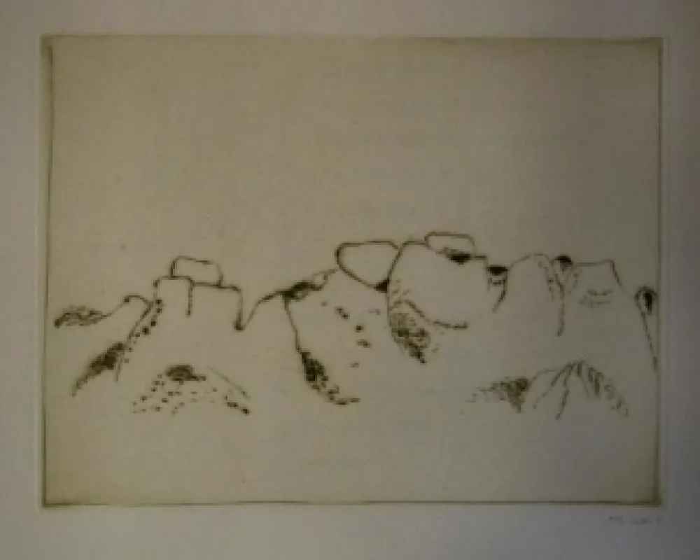 Иллюстрированная Книга Music - Jardins déserts peut-être