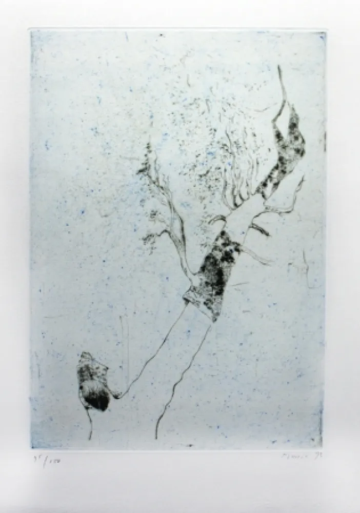 Гравюра Music - Motif végatal