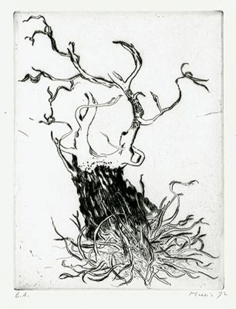 Гравюра Music - Motif Végétal