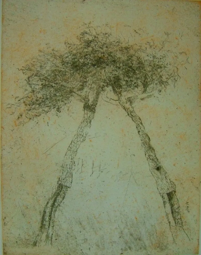 Акватинта Music - Motif vegetal