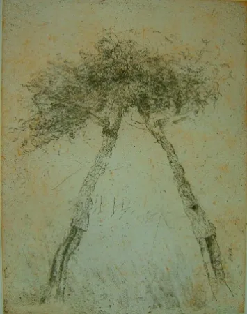 Акватинта Music - Motif vegetal