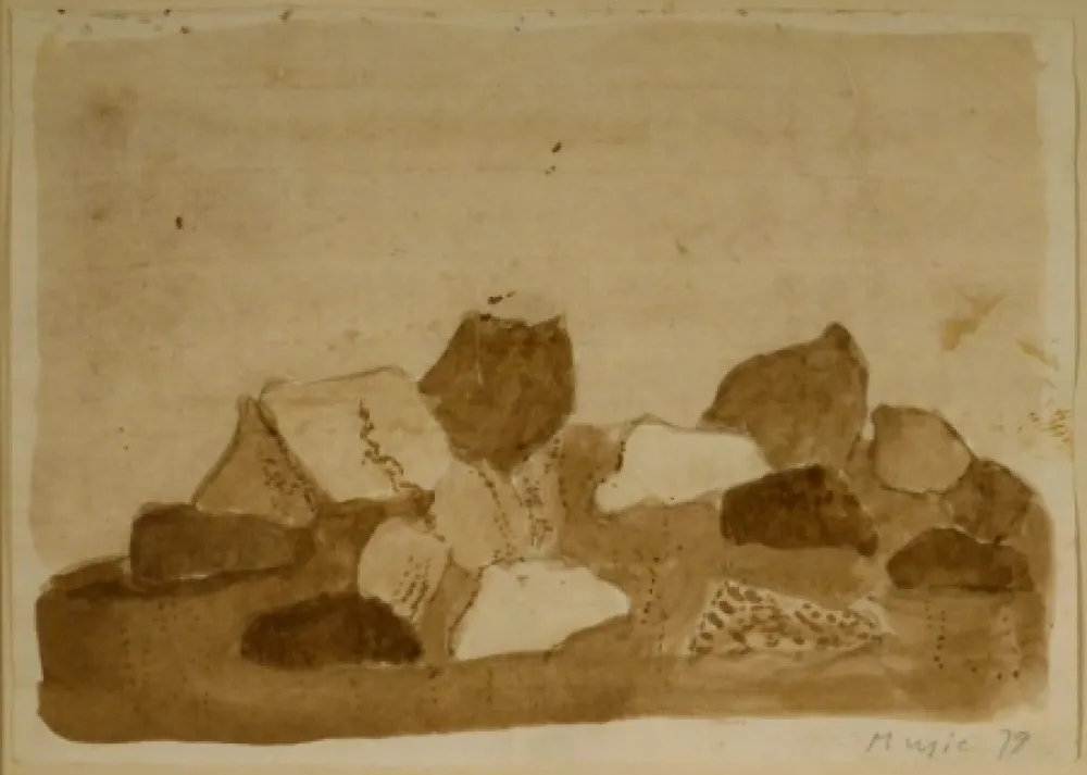 Нет Никаких Технических Music - Paysage Dalmate - Rocheux