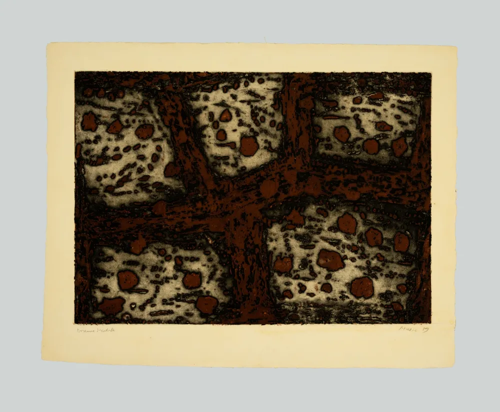 Офорт И Аквитанта Music - Terre dalmate