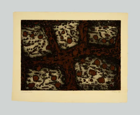 Офорт И Аквитанта Music - Terre dalmate