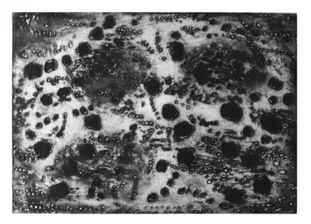 Гравюра Music - Terre d'Istrie