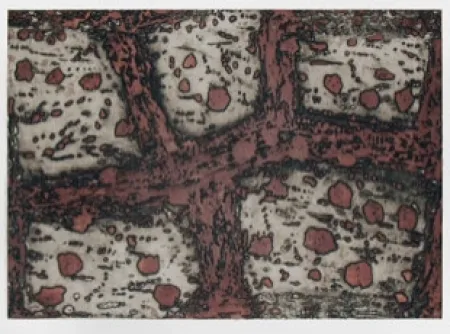 Гравюра Music - Terre d'Istrie