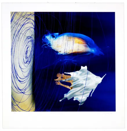 Цифровой Эстамп Myrvold - Water dream