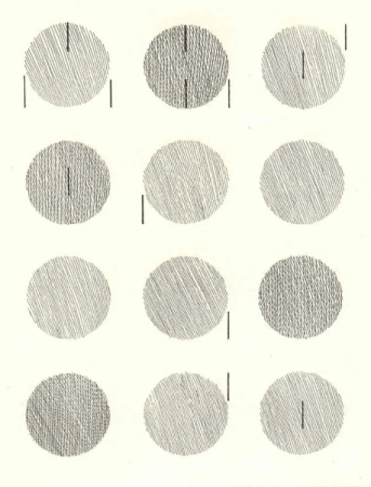 Иллюстрированная Книга Nangeroni - Sei poesie per un romanzo