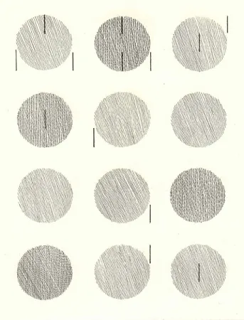 Иллюстрированная Книга Nangeroni - Sei poesie per un romanzo