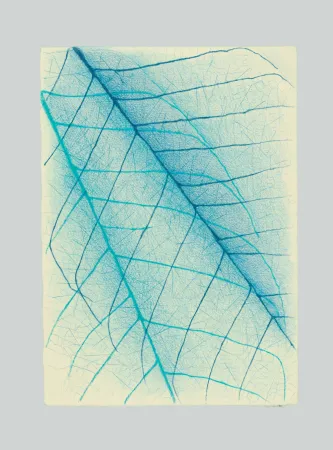 Нет Никаких Технических Napoleone - Essenze, assenze