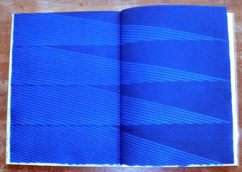 Иллюстрированная Книга Napoleone - Rimanenze