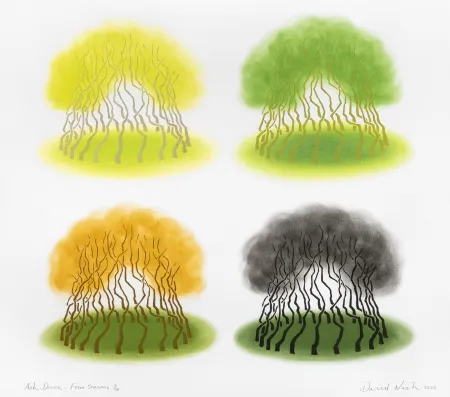 Трафарет Nash - Ash Dome Four Seasons